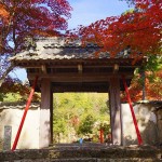 autumn-leaves-2015-01