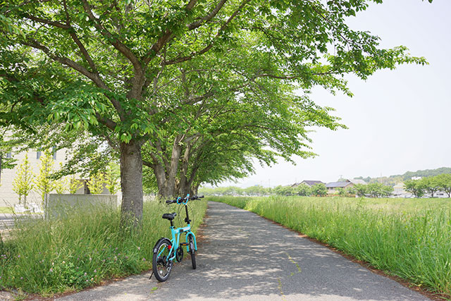 武庫川サイクリングロードと自転車