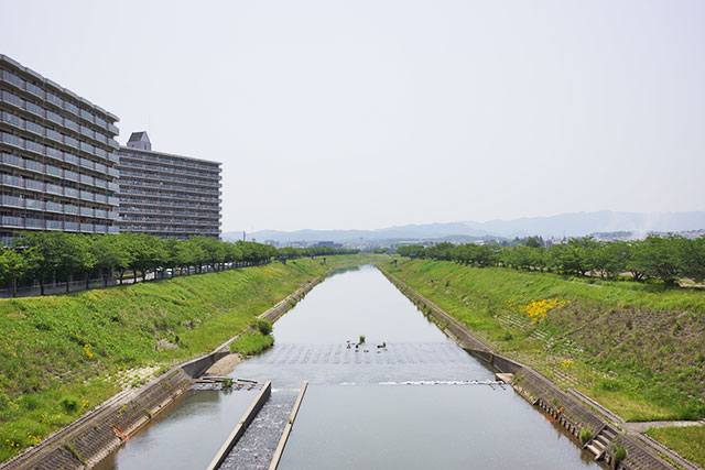 瀬戸橋からの武庫川の眺め