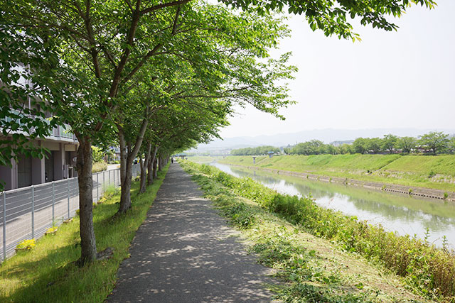 武庫川サイクリングロードの木陰