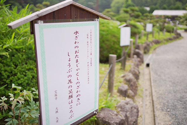 永沢寺「花しょうぶ園」の俳句看板