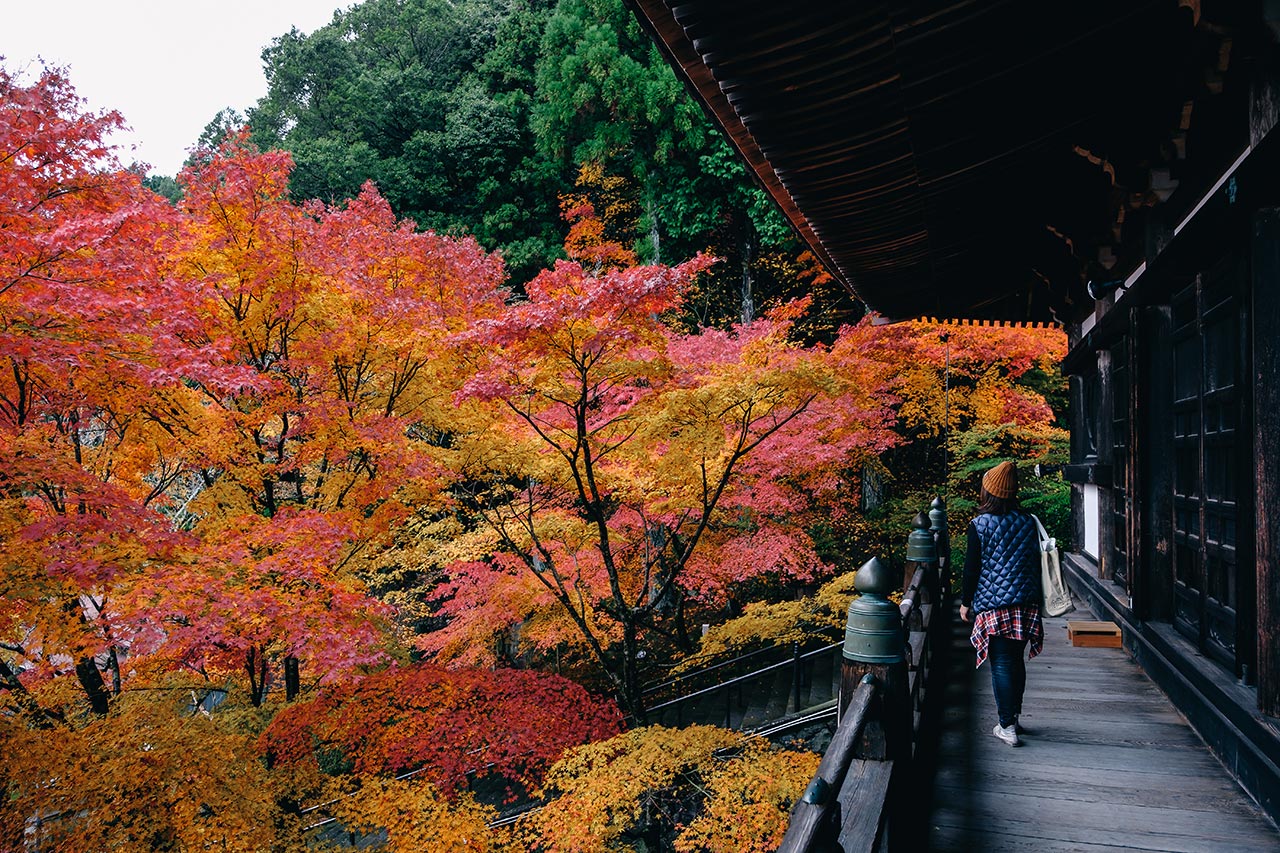 加東市にある紅葉スポット 播州清水寺 の紅葉を見てきたよ さんだびより 三田がもっと楽しくなるwebメディア