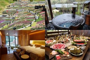 【ネスタリゾート神戸】お花畑に温泉にリゾートホテル!新エリアが続々オープン