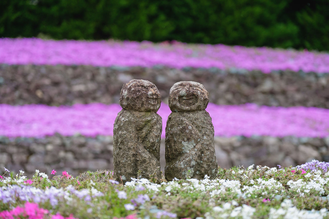 花のじゅうたんで芝桜を見てきたよ 4月中旬から5月中旬が見頃の癒しスポット さんだびより 三田がもっと楽しくなるwebメディア