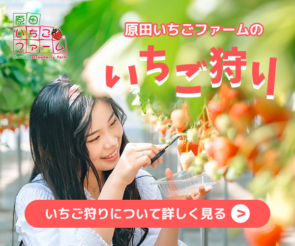 神戸三田でいちご狩りなら原田いちごファームへs