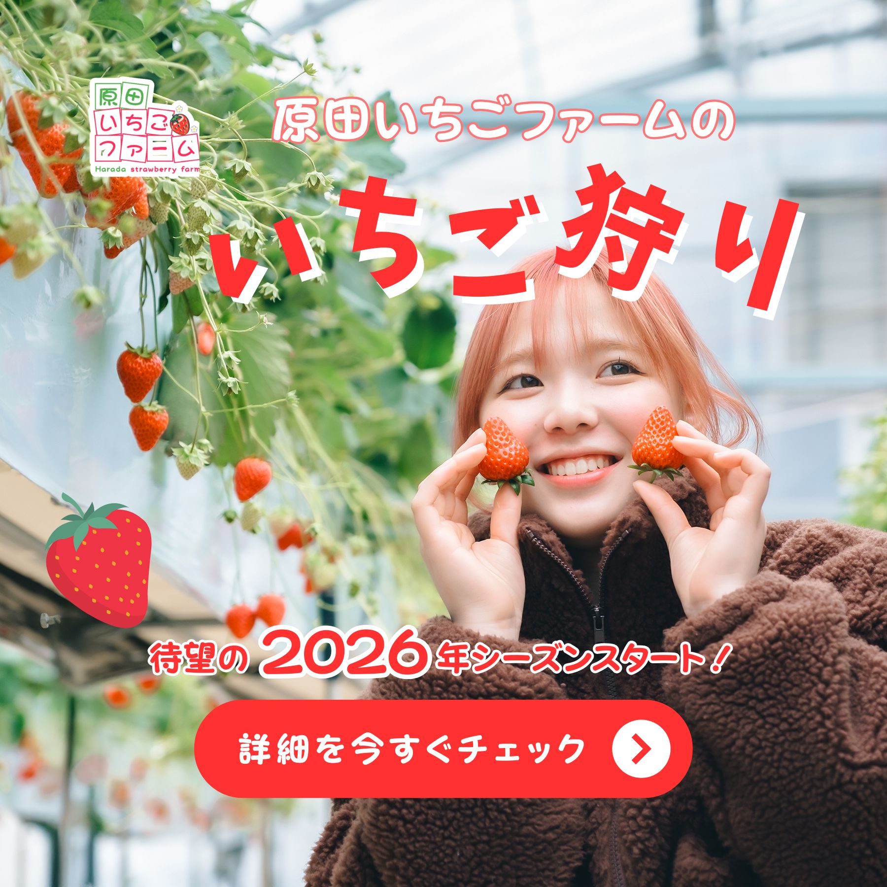 原田いちごファーム